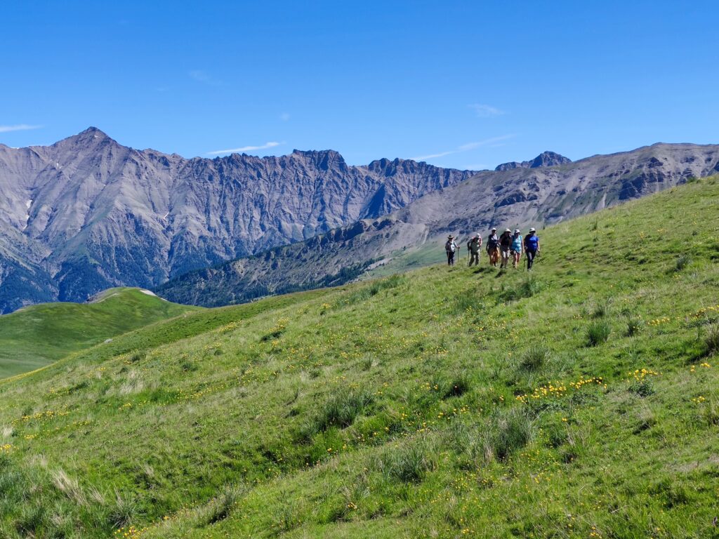 Groupe de randonneurs dans une prairie verte de montagne